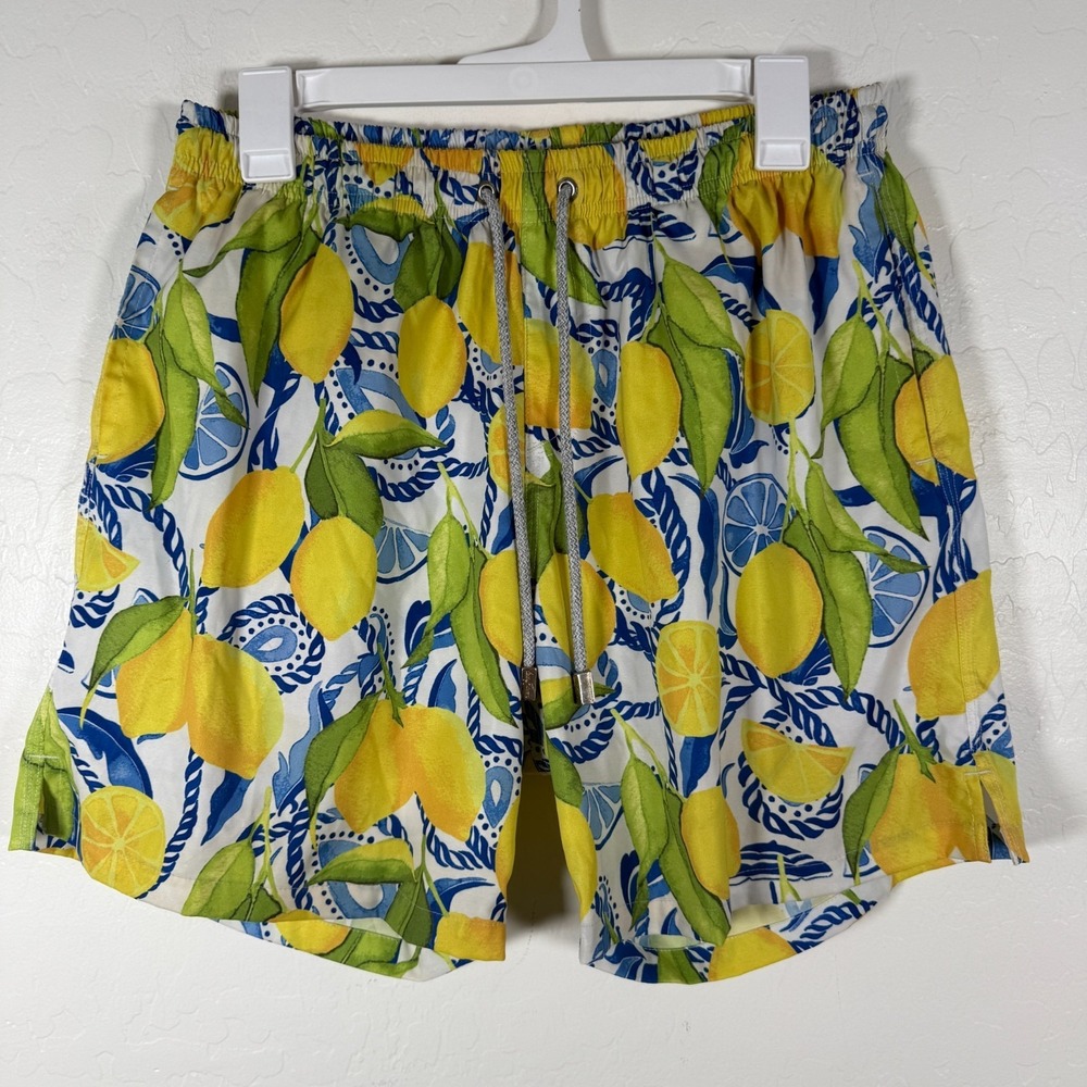 Kenny Flowers Swim Trunks Mens Large Yellow Bossitano Lemon Citrus Print